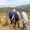 Αλλαγή στη μεθοδολογία εκτίμησης ζημιών επιβάλλουν οι καταστροφές από παγετό σε Νεμέα-Μαντινεία