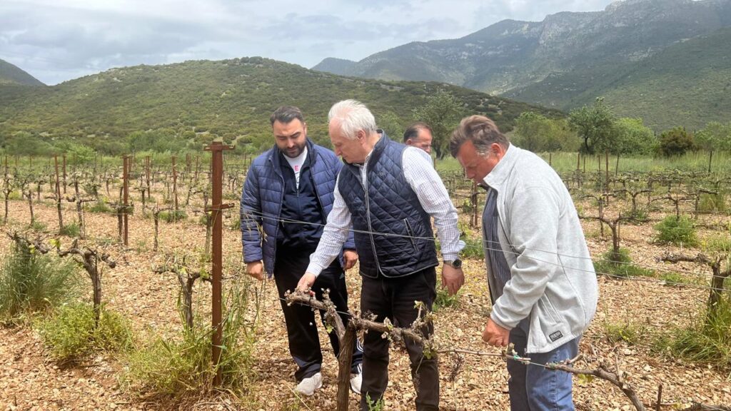 Αλλαγή στη μεθοδολογία εκτίμησης ζημιών επιβάλλουν οι καταστροφές από παγετό σε Νεμέα-Μαντινεία