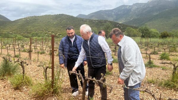 Αλλαγή στη μεθοδολογία εκτίμησης ζημιών επιβάλλουν οι καταστροφές από παγετό σε Νεμέα-Μαντινεία