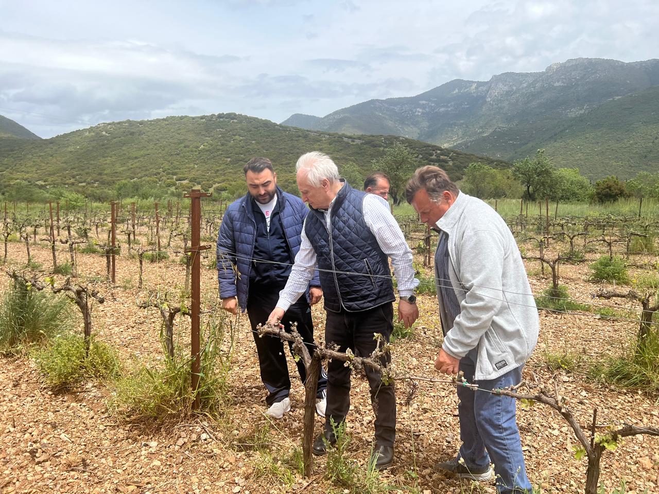 Αλλαγή στη μεθοδολογία εκτίμησης ζημιών επιβάλλουν οι καταστροφές από παγετό σε Νεμέα-Μαντινεία