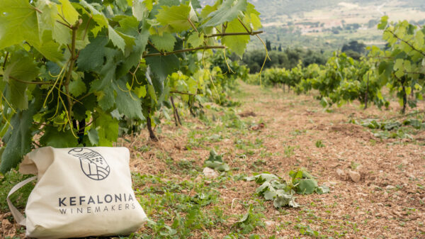 Η Ρομπόλα στο επίκεντρο του 5ου Kefalonia Wine Hub