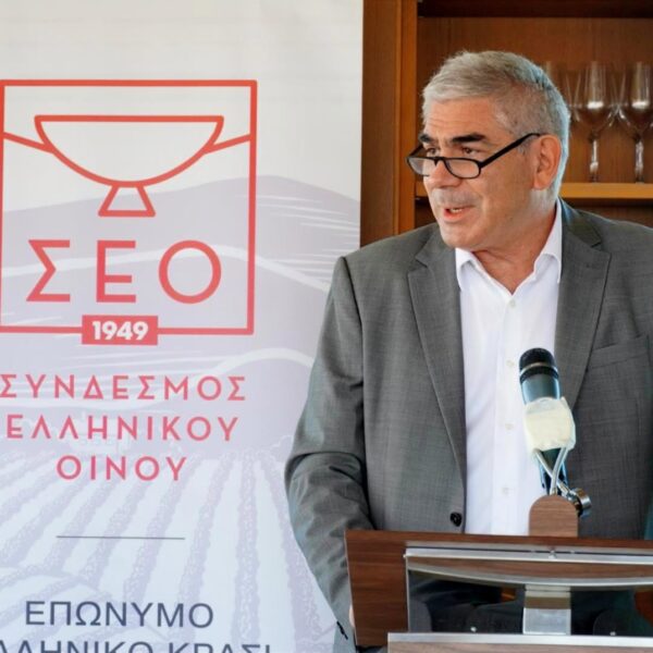 Δομικά μέτρα για στήριξη πληγέντων αμπελουργών από κλιματική κρίση και πλαίσιο για παραγωγή οίνων χωρίς αλκοόλ ζητά με διπλό ψήφισμα ο ΣΕΟ