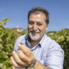 Το ελληνικό κρασί επαναπροσδιορίζει τη θέση του σε μία ευμετάβλητη αγορά