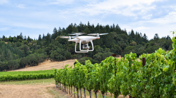 Η Αυστρία δοκιμάζει drones και τεχνητή νοημοσύνη απέναντι στις ασθένειες της αμπέλου